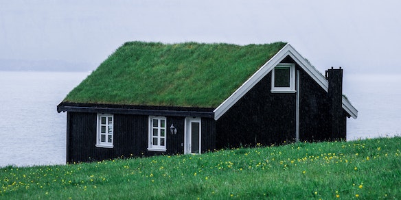 house by the ocean covered by grass